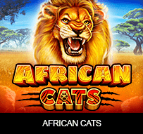 African Cats