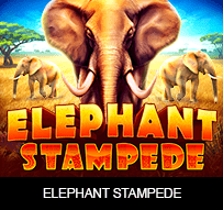 Elephant Stampede